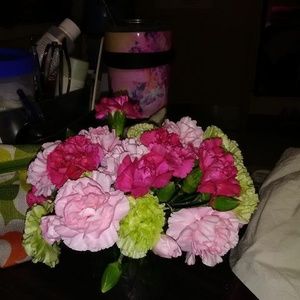 Meet your Posher, Katherine